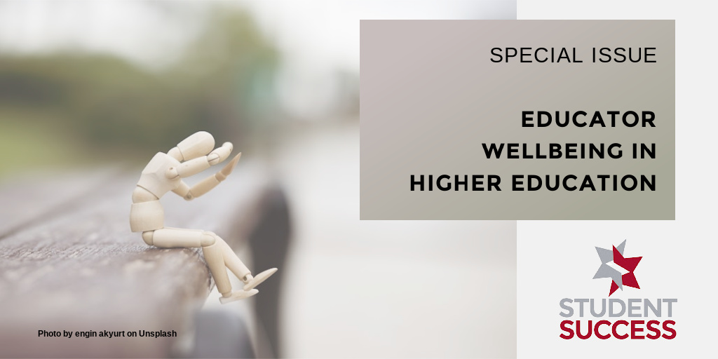 Special Issue: Educator Wellbeing in Higher Education. Photo by engin akyurt on Unsplash