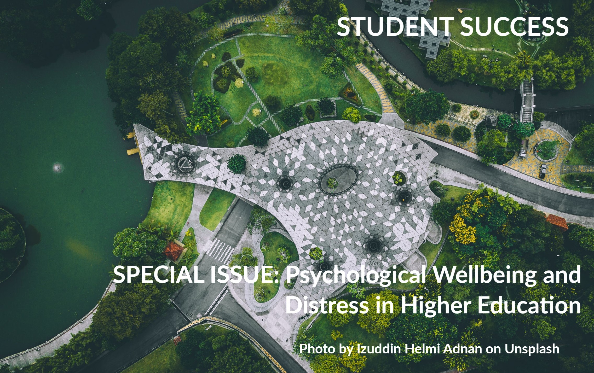 2019 Special Issue:  Psychological Wellbeing and Distress in Higher Education